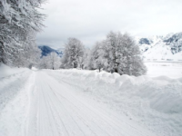 Emergenza maltempo, parte la ricognizione nelle aziende