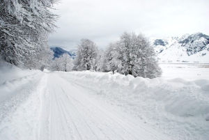 Emergenza maltempo, parte la ricognizione nelle aziende