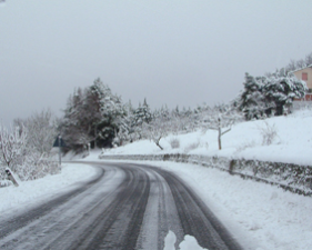 Campobasso, scuole chiuse domani e sabato