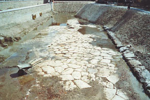 Antica autostrada romana, vergognoso lo stato del sito