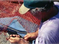 Termoli, pescatori abusivi colti in flagrante