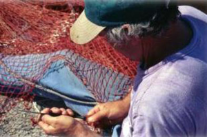 Regioni in riunione nella capitale anche per la Pesca