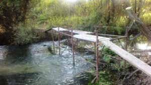 La Polizia Provinciale smantella ponticello abusivo sul San Bartolomeo
