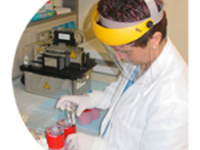 “Investire su ricerca e innovazione”, la ricetta di Petraroia per superare la crisi