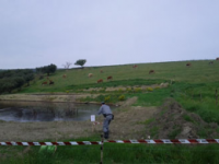 Sequestrate due vasche in terra battuta contenenti acque reflue olearie