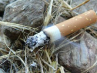 Il Molise brucia, la Regione corre ai ripari