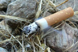 Il Molise brucia, la Regione corre ai ripari