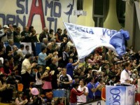 Pallavolo, Fenice al ritorno nazionale?