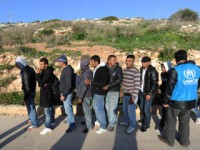 Profughi di Lampedusa accolti in un residence a Petacciato marina