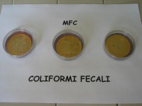 Acqua inquinata in tutta Larino, vietato l’uso potabile