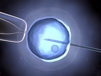 Procreazione assistita, la giunta Frattura istituisce la commissione