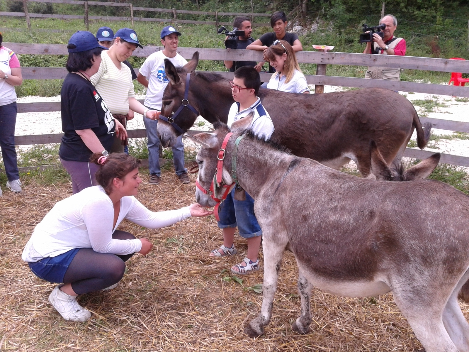 Onoterapia, dimostrazione a Carpinone