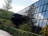 Ittierre, Scarabeo: “Considerazione, non assistenzialismo”