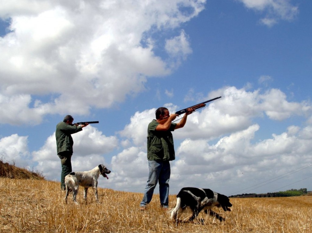 Calendario venatorio, ok in commissione