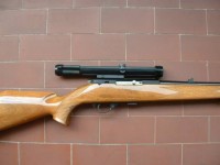 Fucilata contro un randagio, 30enne nei guai