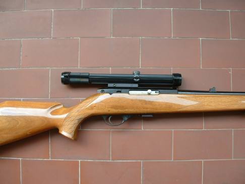 Fucilata contro un randagio, 30enne nei guai