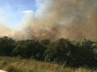 Torna l’emergenza incendi sulla costa, statale 16 a rischio chiusura