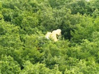 Carovilli, precipita un caccia Amx