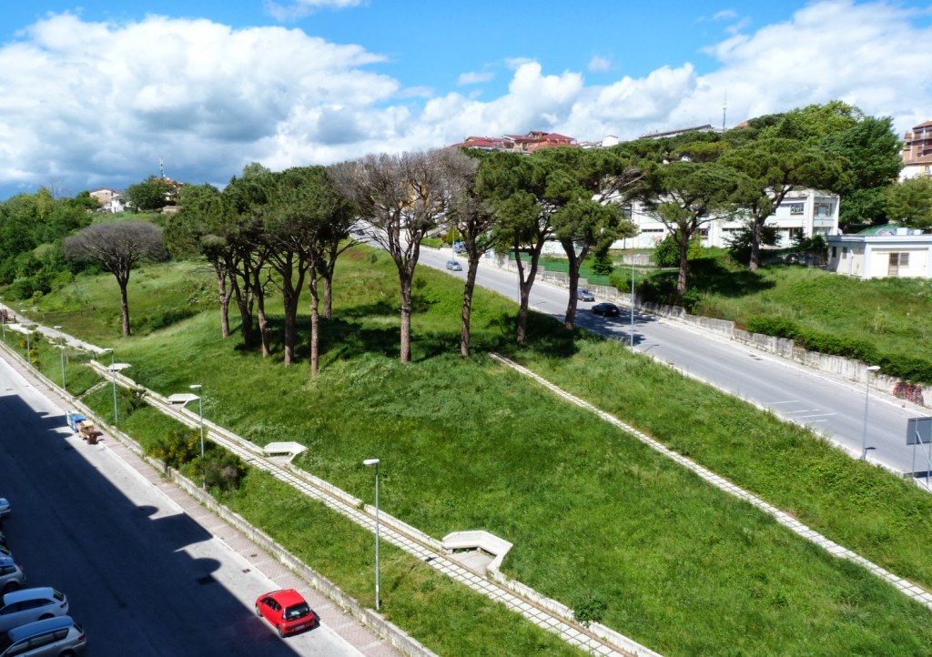 Lottizzazione Parco dei Pini, Wwf critico