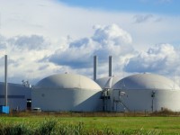 Biomasse, la Giunta formalizza la revoca alle autorizzazioni