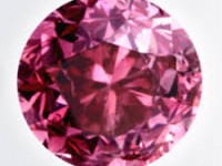 Tesoro Angiolillo, attesa per il processo del 25