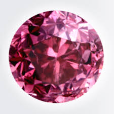 Tesoro Angiolillo, attesa per il processo del 25