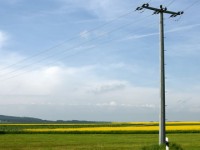 Rubati 700 metri di cavi elettrici sulle reti Enel in Basso Molise