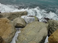 Finanza, sequestro record da quasi due tonnellate di marijuana