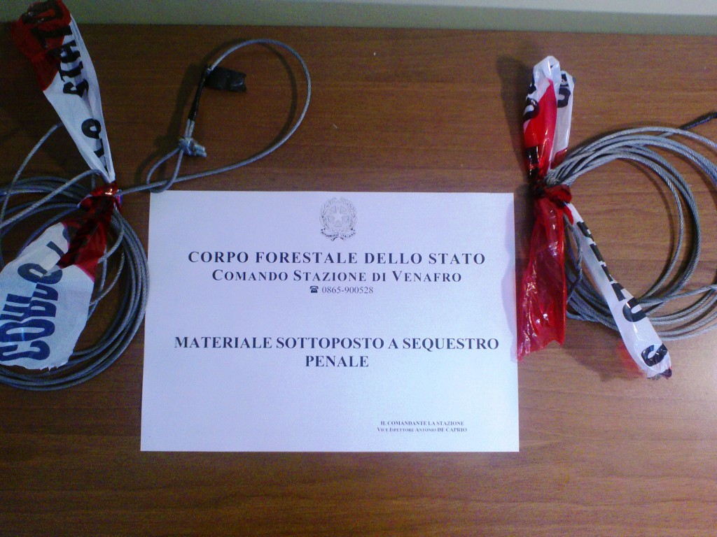 Operazione antibracconaggio della Forestale a Pozzilli