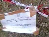 Montaquila, la Forestale sequestra un’area