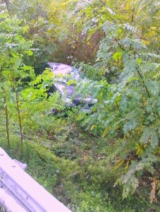 auto nel fosso lungorava