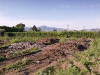 Sversamento di fanghi da depurazione non trattati, agricoltore nei guai