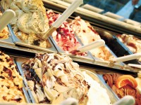 Campobasso, bar gelateria evade Iva per oltre 9mila euro