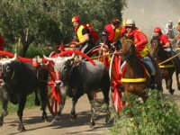 Carri di San Martino da Papa Francesco, domani la presentazione