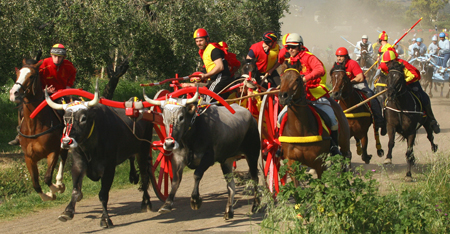Carri di San Martino da Papa Francesco, domani la presentazione