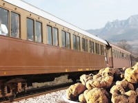 Domenica a San Pietro Avellana il Treno del tartufo bianco