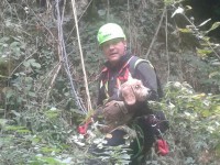 Cane da caccia finisce in un dirupo, intervengono gli uomini del Soccorso alpino