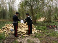 Rifiuti speciali nel bosco, blitz dei Carabinieri