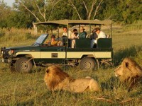 Orefice molisana muore in un Safari fotografico in Kenya