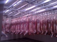 4 milioni di evasione al fisco, nei guai società di commercializzazione di carni