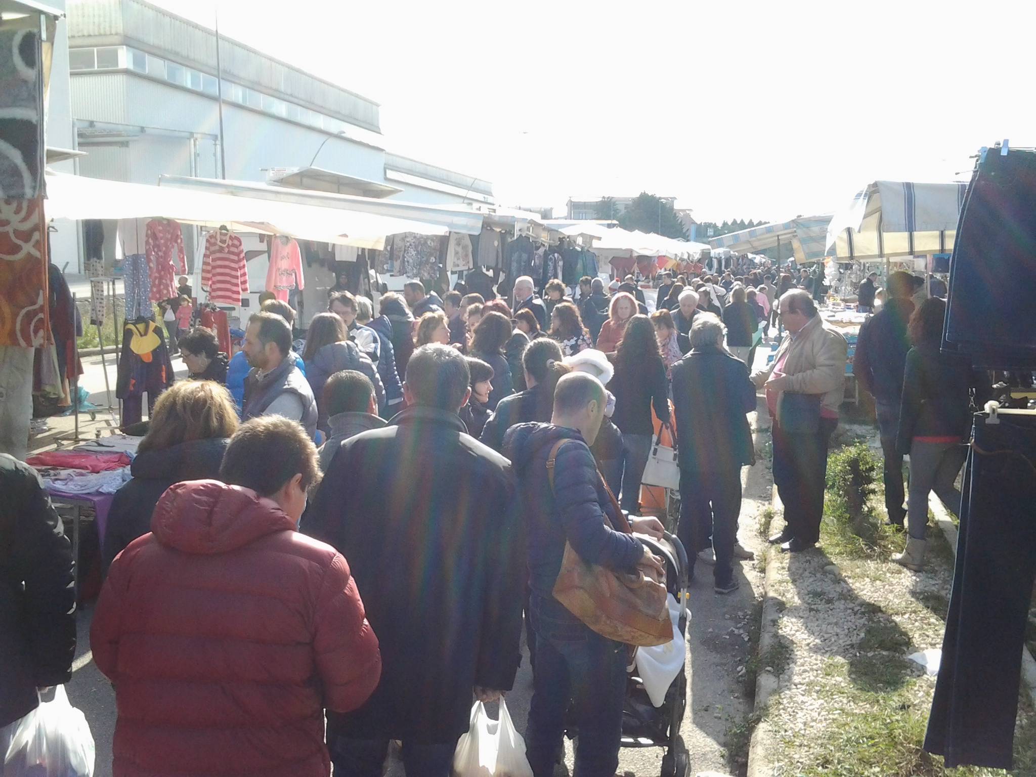 'Campobasso in fiera' slitta al 25 gennaio PrimoPiano Molise