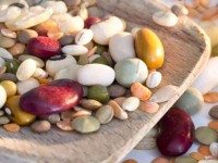 Il Molise dal Gusto Antico, sabato la presentazione dell’opera