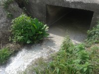 Smaltimento illecito delle acque reflue, sequestrato un caseificio