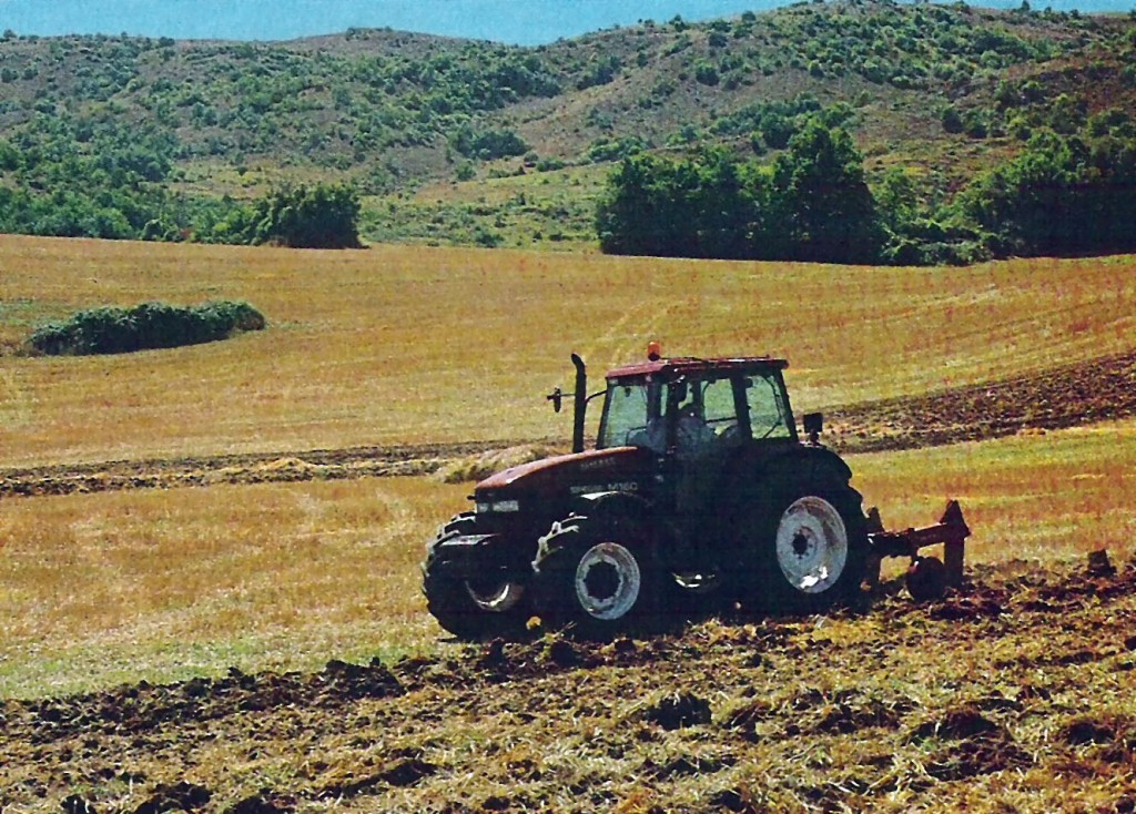 Agricoltura, dal Par Molise un milione di euro