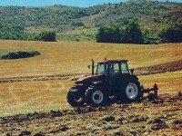 Contributi Pac, la Coldiretti si muove in favore delle imprese agricole