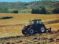 Agricoltura, dal Par Molise un milione di euro