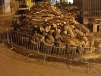 Festa di Sant’Antonio Abate, tra fede e folclore