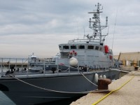 Una tonnellata di pesce sequestrata al porto di Termoli dalla Finanza