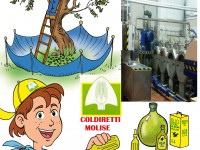 Olio d’oliva, la denuncia del Coprom