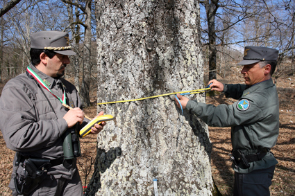 A Civitacampomarano ritorna il Comando della Forestale